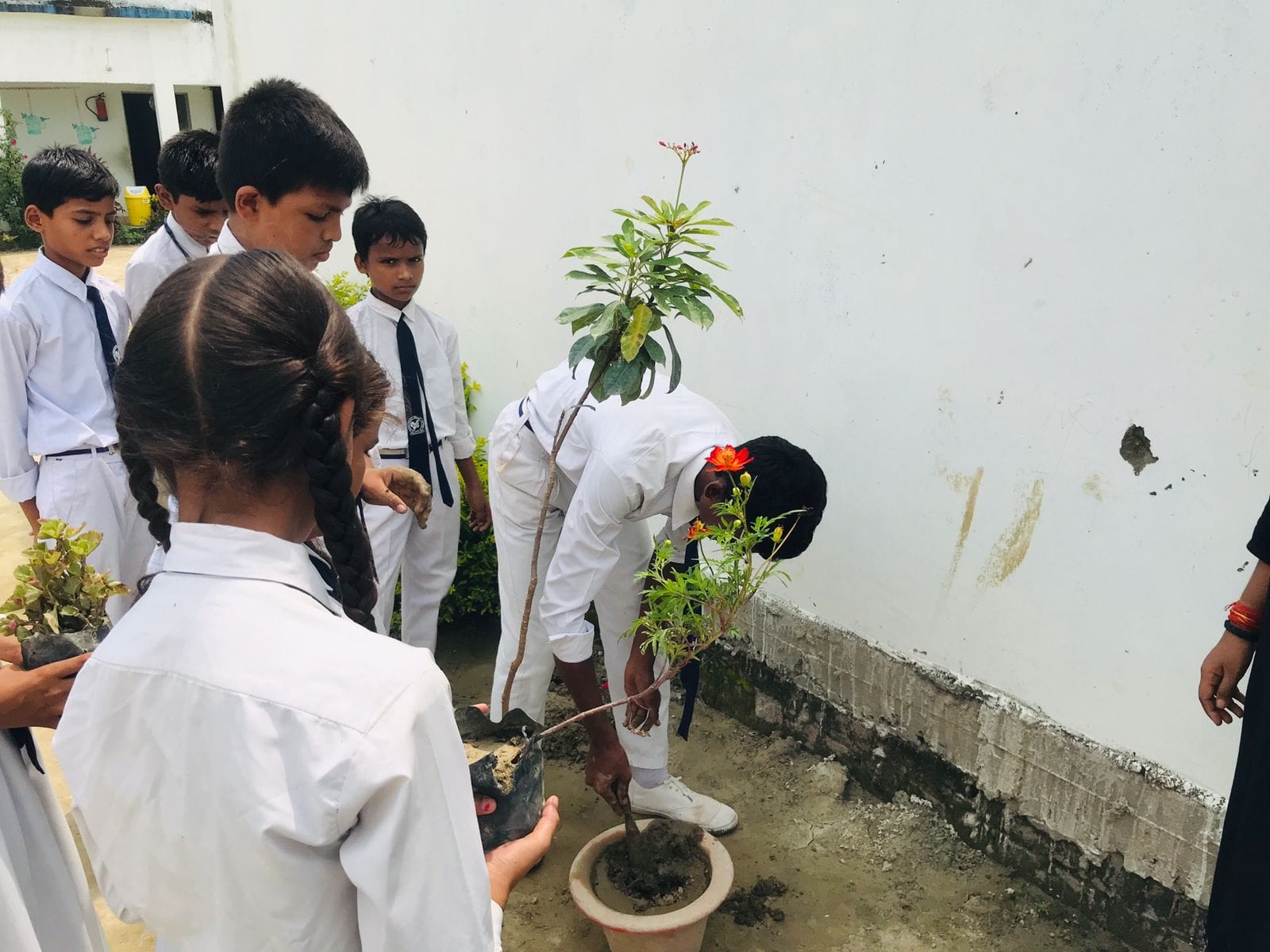 Students planting green saplings on school campus