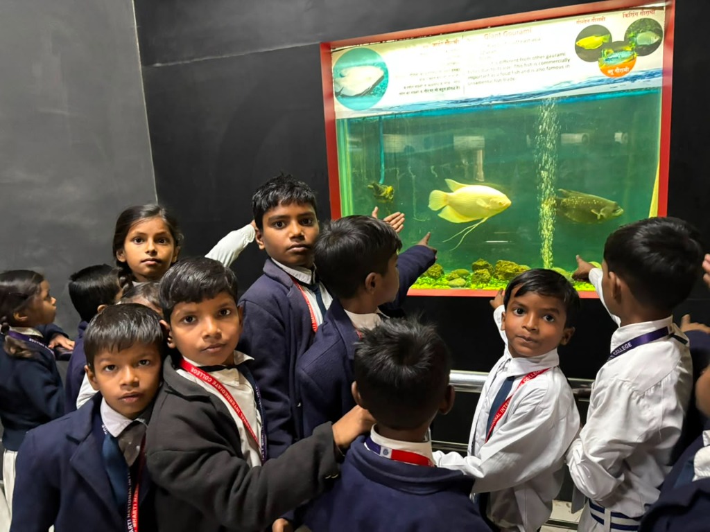 Students exploring giant yellow fish in a large aquarium