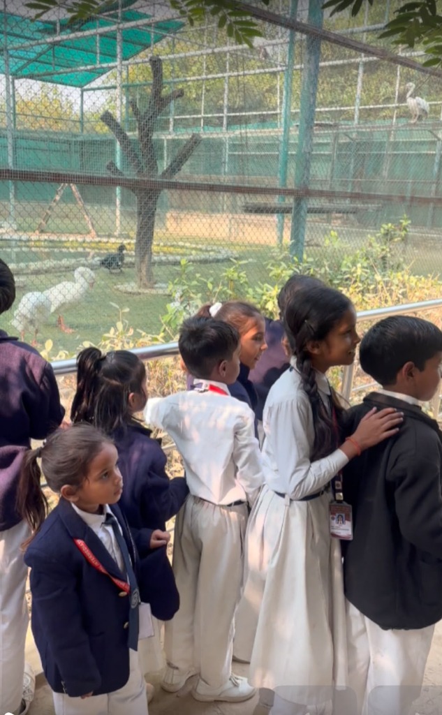 Children viewing large storks in an outdoor sanctuary dome