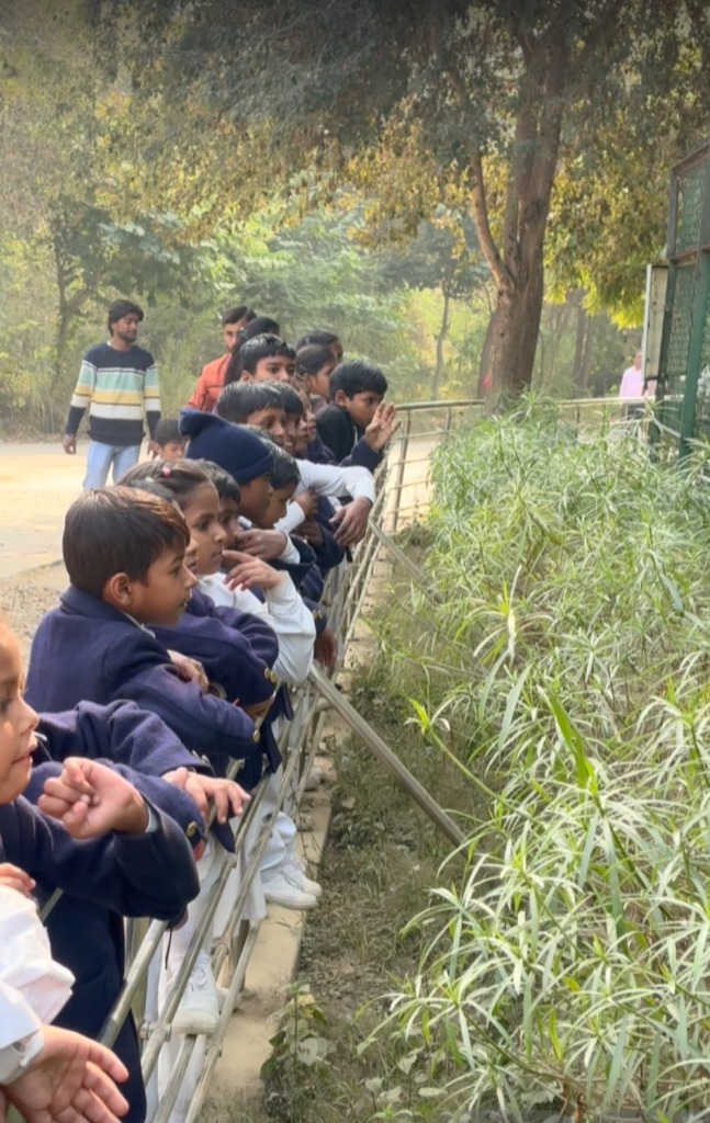 Line of school children in uniform looking at a zoo enclosure